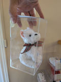 TY Beanie Baby in Clear Display Case - thumbnail 2 of 3