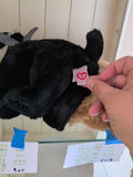 TY Beanie Buddy Black Dog Plush Toy - thumbnail 3 of 3