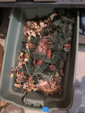 Artificial Holiday Greenery and Florals - thumbnail 4 of 5