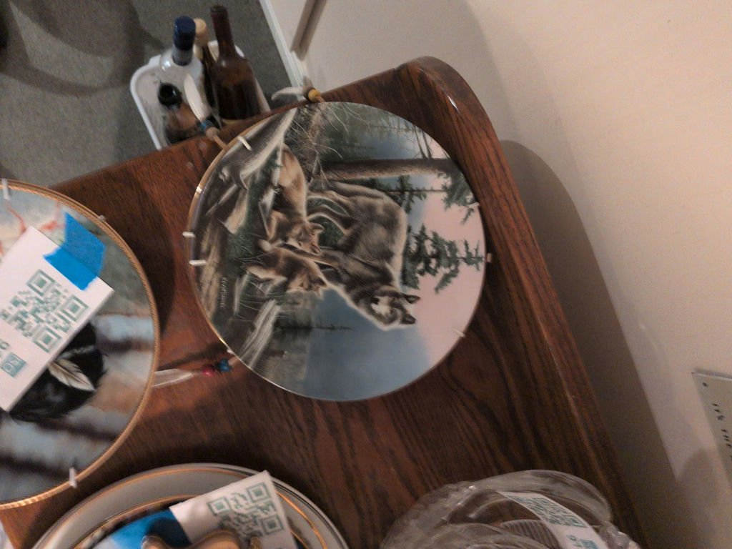 Decorative plates and dreamcatchers - image 7 of 13