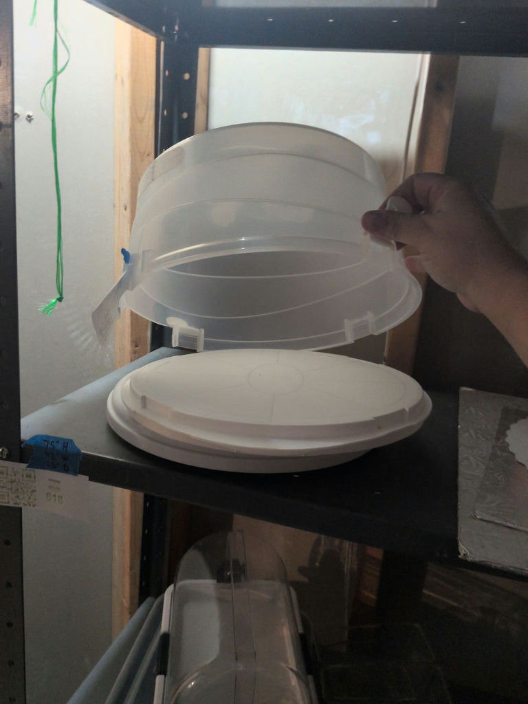 Round Cake Carrier and Rotating Cake Stand - image 5 of 5