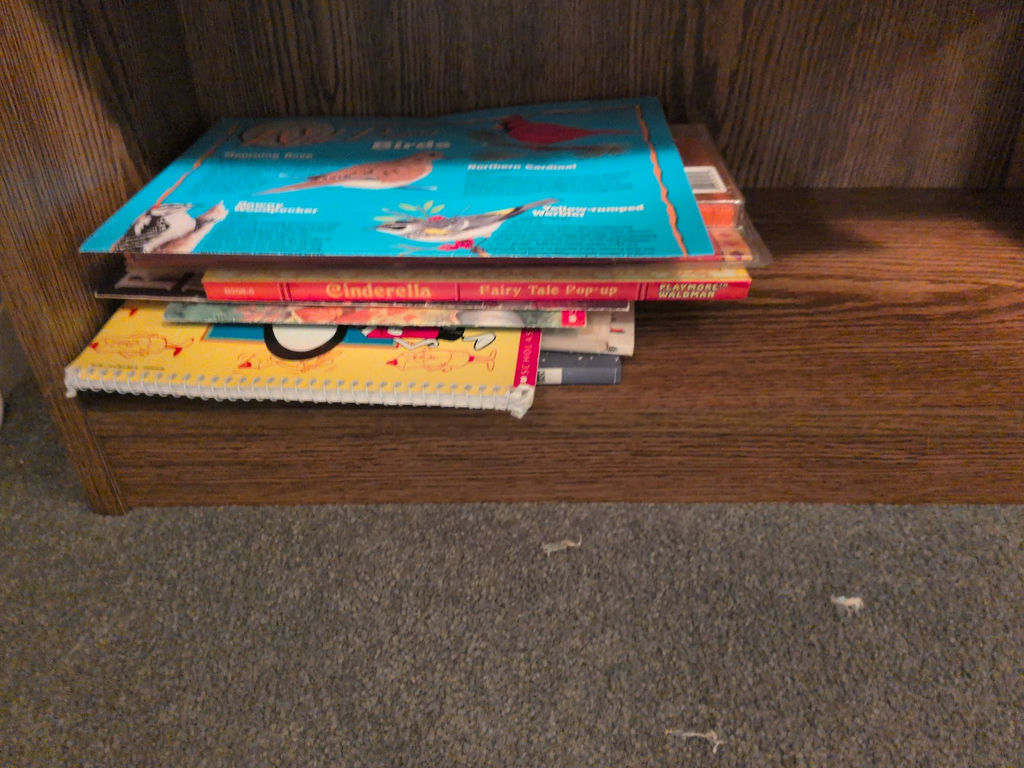 Children's Books and Tote Bag - image 2 of 4
