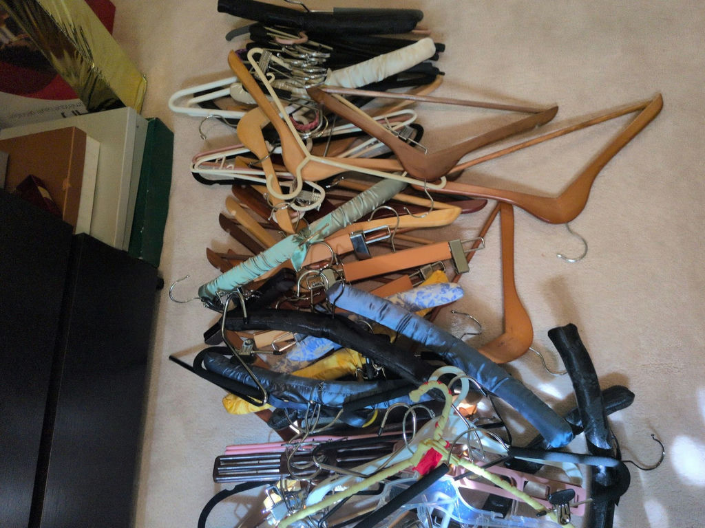 Assorted Clothing Hangers - image 3 of 5