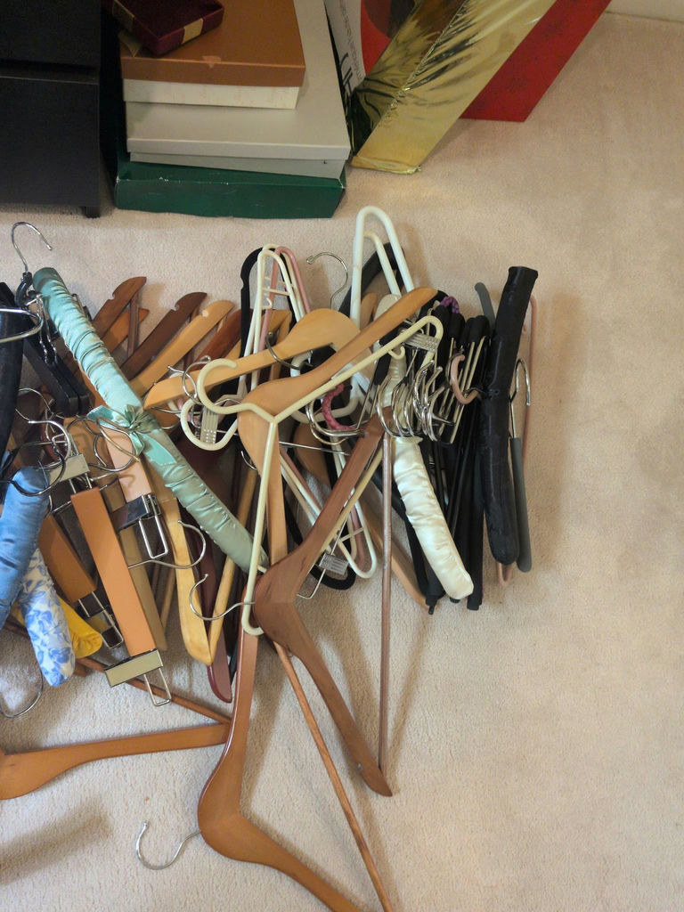 Assorted Clothing Hangers - image 2 of 5