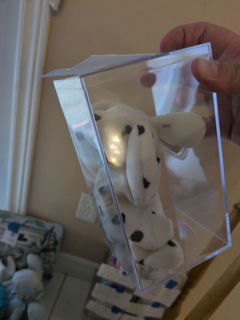 TY Beanie Baby 'Sparky' in Clear Display Case - image 3 of 4
