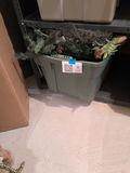 Artificial Holiday Greenery and Florals - thumbnail 1 of 5