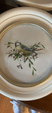 Bird Themed Decor - thumbnail 3 of 15