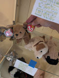 TY Beanie Babies Plush Dog Toys - thumbnail 3 of 5