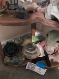 Frog Figurines and Frog Plush Doll Collection - thumbnail 4 of 4