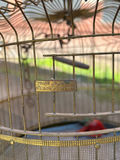 O.L & Co. Floor Standing Birdcage  - thumbnail 2 of 6