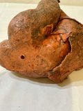 Trio of Terra cotta Rubenesque Nudes - thumbnail 14 of 14