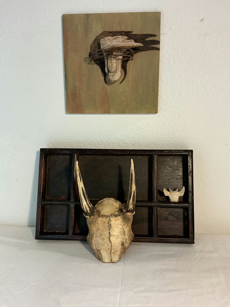 Taxidermy TIny Skull of Deer, et. - image 2 of 7