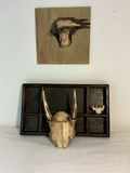 Taxidermy TIny Skull of Deer, et. - thumbnail 2 of 7