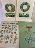 4 More Originals by Rikki on paper - thumbnail 1 of 9