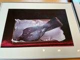 4 Framed photos by Rosamond Purcell - thumbnail 3 of 7