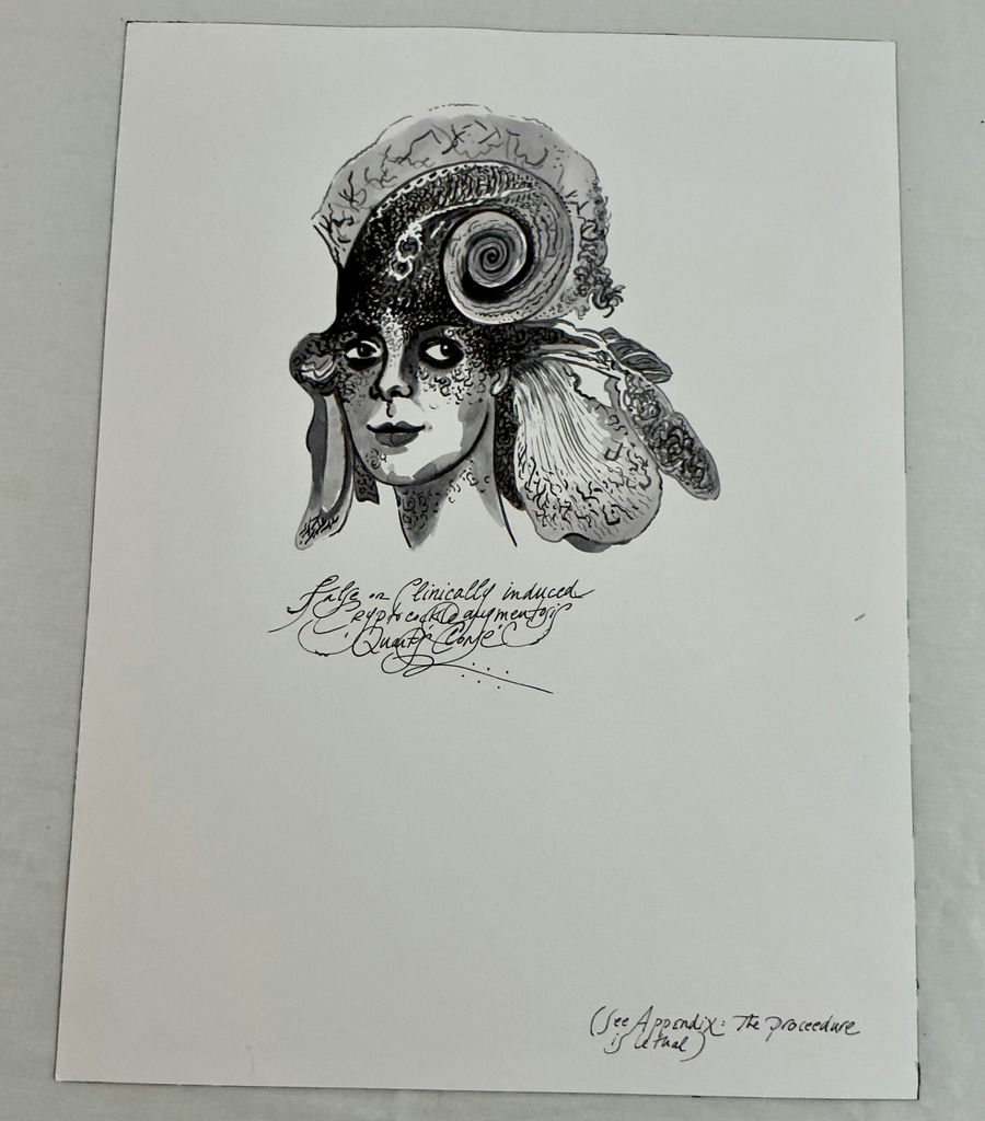 Unnumbered prints with multiples clearly for sale - image 7 of 13