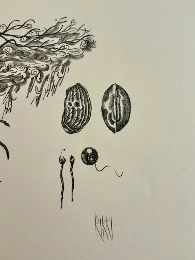 Five More numbered prints by Rikki on paper - image 10 of 12