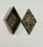 Shell Art and shell collection - thumbnail 10 of 12