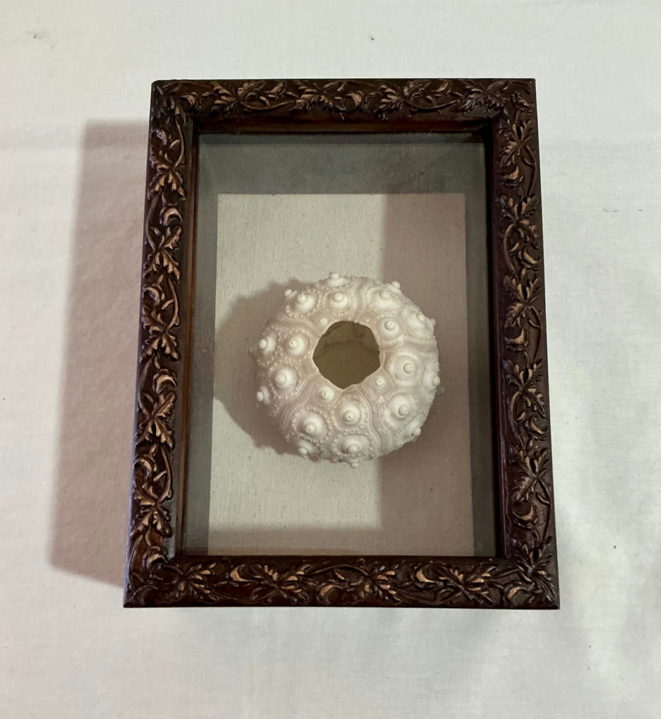 Shell Art and shell collection - image 7 of 12