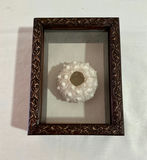 Shell Art and shell collection - thumbnail 7 of 12