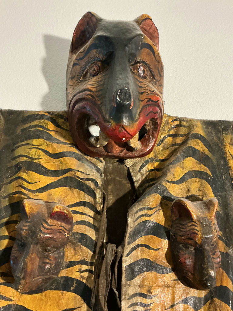 Folk Art Tiger Costume - image 4 of 5