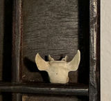 Taxidermy TIny Skull of Deer, et. - thumbnail 1 of 7