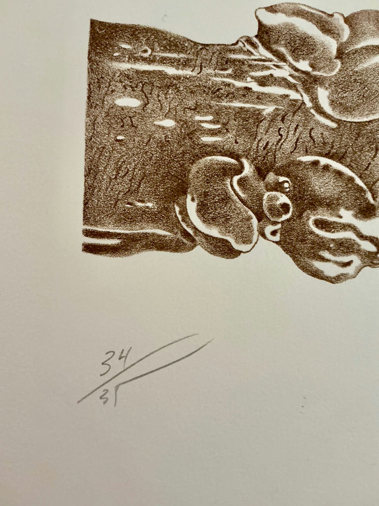 Four numbered prints on paper from Rikki - image 12 of 13