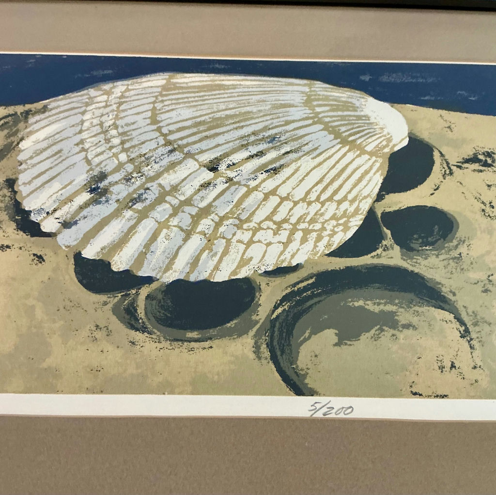 Shell Art and shell collection - image 5 of 12