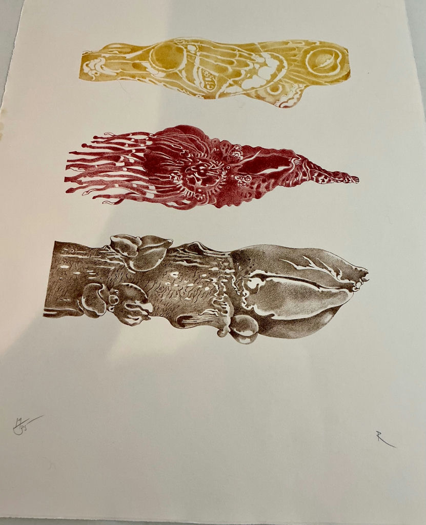 4 Numbered Prints by Rikki on paper - image 10 of 12