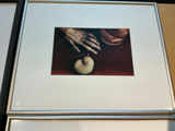 4 Framed photos by Rosamond Purcell - thumbnail 6 of 7