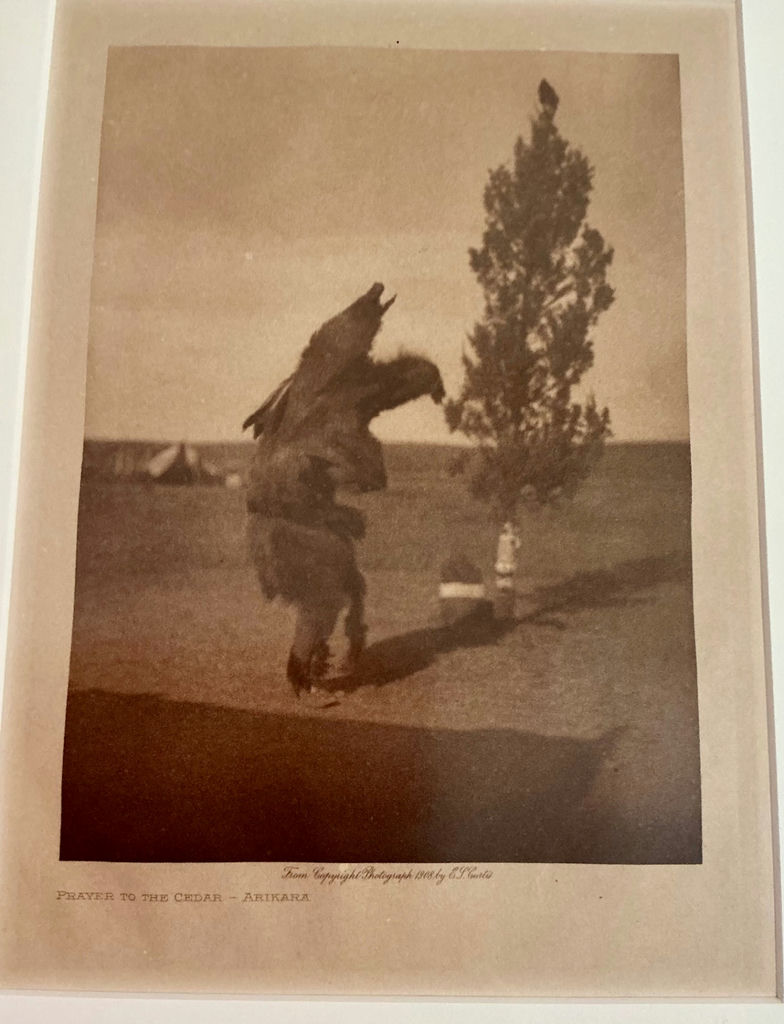 Framed Edward Sheriff Curtis and bonus native themed work - image 10 of 11