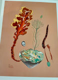 Unnumbered prints with multiples clearly for sale - thumbnail 5 of 13