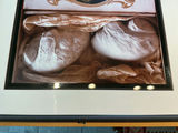 4 Framed photos by Rosamond Purcell - thumbnail 5 of 7