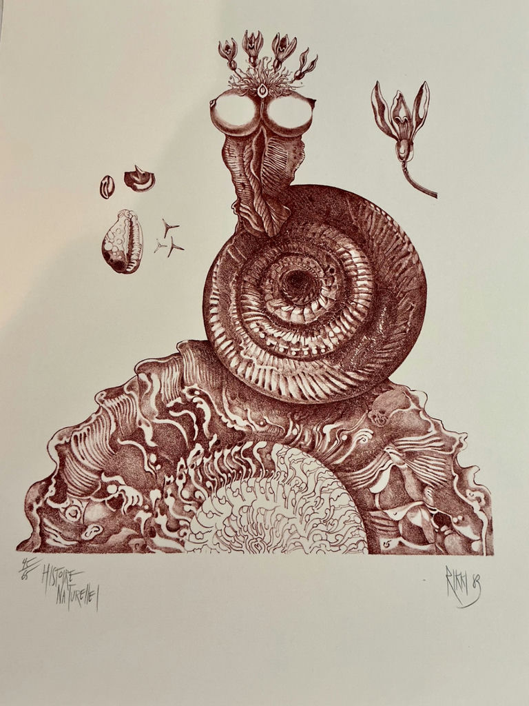 Four numbered prints on paper from Rikki - image 2 of 13