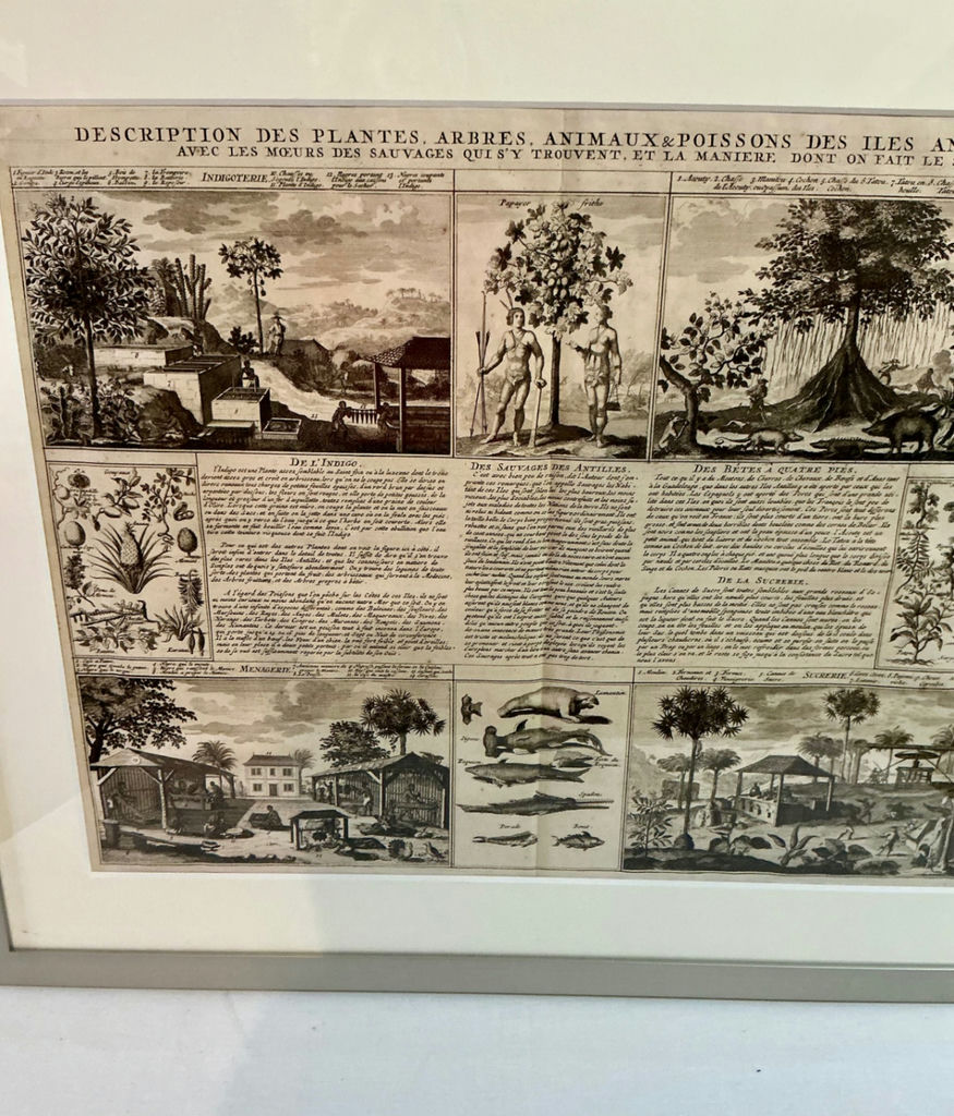 Framed Ephemera - image 4 of 9