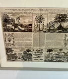 Framed Ephemera - thumbnail 4 of 9
