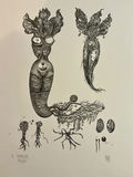 Five More numbered prints by Rikki on paper - thumbnail 8 of 12