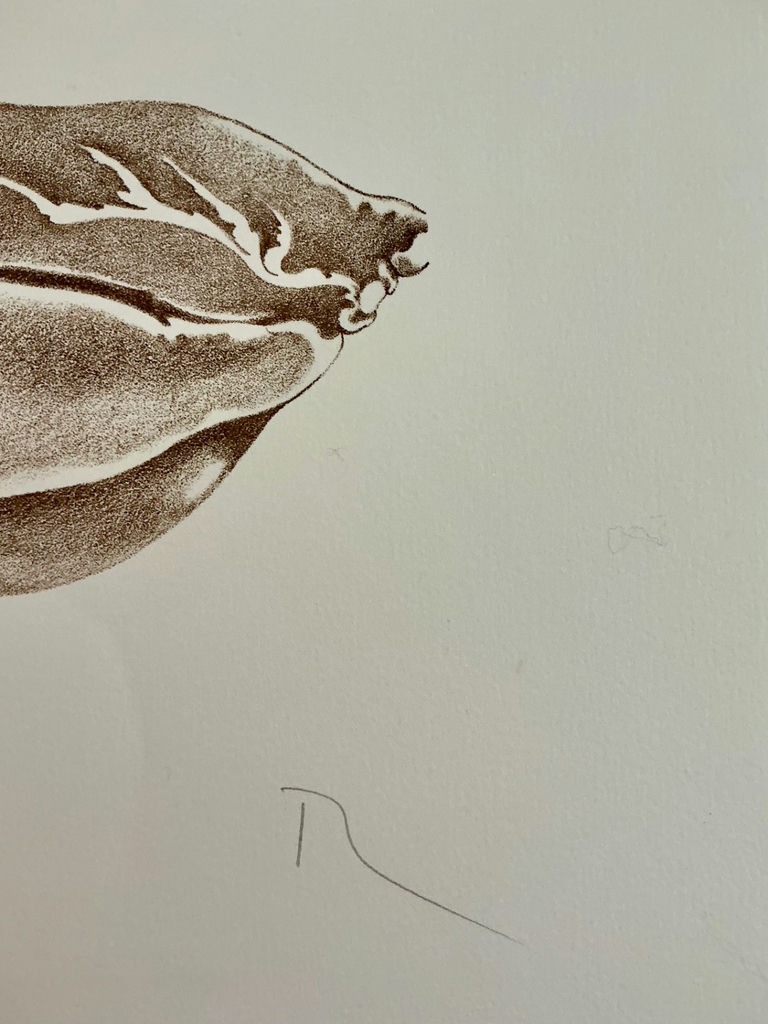 Four numbered prints on paper from Rikki - image 13 of 13