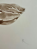 Five More numbered prints by Rikki on paper - thumbnail 4 of 12