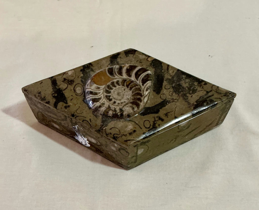 Shell Art and shell collection - image 9 of 12
