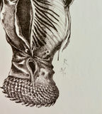 4 Numbered Prints by Rikki on paper - thumbnail 3 of 12