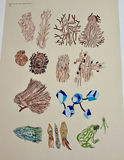 Unnumbered prints with multiples clearly for sale - thumbnail 2 of 13