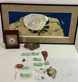 Shell Art and shell collection - thumbnail 1 of 12