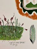 Three originals by Rikki one on canvas two paper - thumbnail 5 of 8