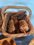 Baskets and Pine Cones - thumbnail 6 of 6