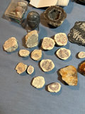 Rock and mineral fossil and geode collection, Rock Like Fountain - thumbnail 6 of 7