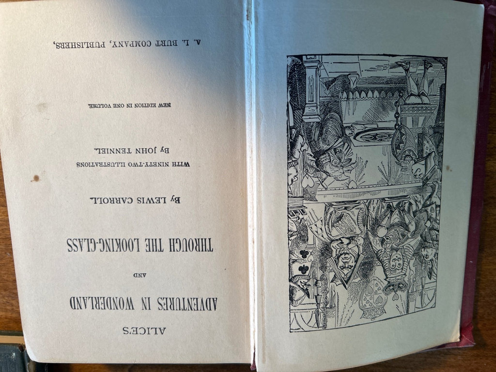 Collection of antique classic and reference books - image 3 of 9
