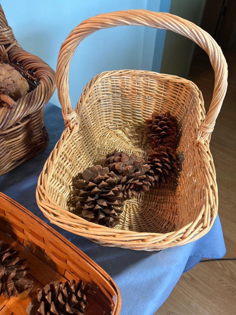 Baskets and Pine Cones - image 1 of 6