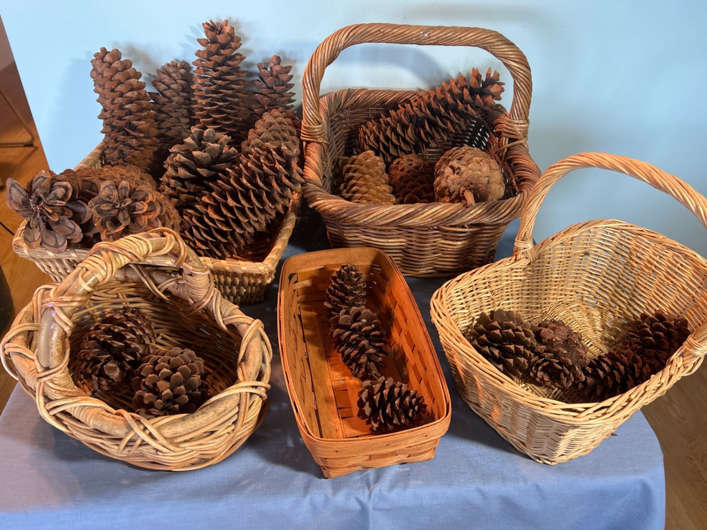 Baskets and Pine Cones - image 5 of 6