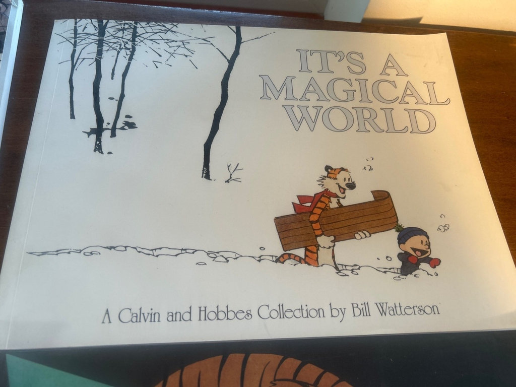 Calvin and Hobbes comic book collection - image 2 of 10
